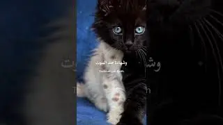 دعاء 🤲🏼 Douae