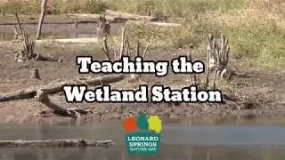 Leonard Springs Nature Day - Wetland Station
