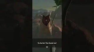 ascend thru top of YunoboCo HQ north of goron city (old abandoned mine) #examine #korok seed🍃totk