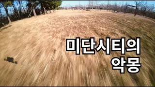 미단시티의 악몽