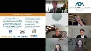 Pro Bono & Tax Clinics: Virtual 2020 Fall Tax Meeting Panels
