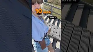 Хайкинг в Гааге #голландия #нидерланды