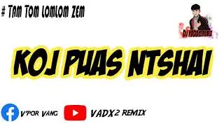 #เพลงแดนซ์ #Djhmoob #NkaujHmoobRemix koj puas ntshai -Abyeeb yaj by[Dj VADX2 remix]