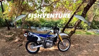 Chasing Trout On My Suzuki DR650