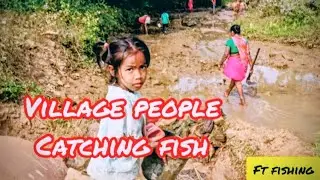Village people catching fish #fishing #fish #fishvideo 