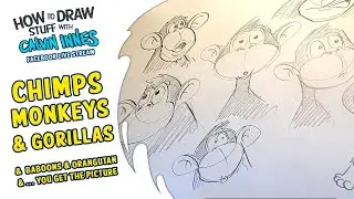 How To Draw Stuff With Calvin Innes - Chimps, Monkeys & Gorillas