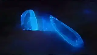 SONIKKU - Megalomaniac (Official Visualizer)