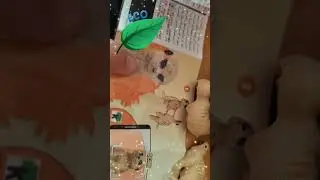 Обзор Kinder Surprise #kindersurprise  #live #sammer2025 #vnika_tsykalo #kids