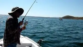 Choi's fishing in DV lake