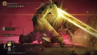 Placidusax's Ruin deals quite a lot of damage [Elden ring]