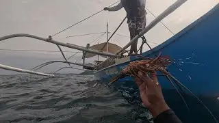 LOBSTER PARA SA MISIS KO