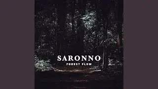Forest Flow