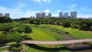 29 May 2022 | FPV | Bishan Park mac - Crashed!
