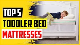 Top 5 Best Toddler Bed Mattresses in 2022 Reviews