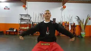 AULA GRATUITA DE QIGONG PARA EQUILIBRAR OS CINCO ELEMENTOS.