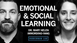Dr. Immordino-Yang: How Emotions & Social Factors Impact Learning | Huberman Lab Podcast#hubermanlab