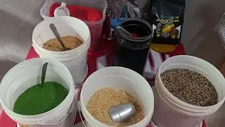 Qual alimentação vc está usando no seu canaril???18/01/2026 #canarilguimaraessf 