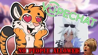 OMEGLE FOR VTUBERS ONLY?!?!?
