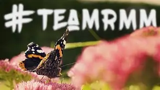 TEAMRMM APPLICATION | Filip Rudolphson #TeamRMM