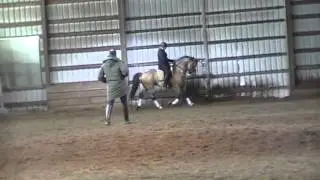MOV0BB Jeremy clinic day 2