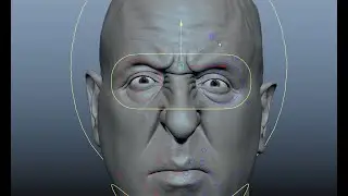 Facial Rig - Nose, Brows, Cheeks Shapes