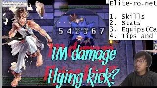 Ragnarok Online: Taekwon Master / Star Gladiator Stat, Skill, Tips & Tricks Guide (EliteRO)