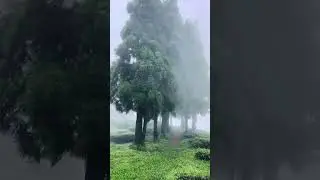 #naturelovers #beautifulplaces #travel #shortvideo #nepal #village #gaughar