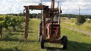 rognage de la vigne 2020