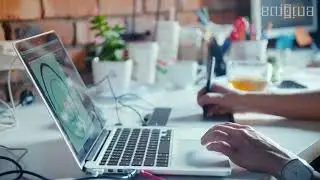 Top website design company in India