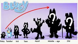 Bluey Heeler New Growing Up - Life After Happy End Compilation | Cartoon Wow
