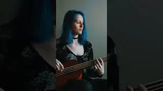 funky ukulele bass sounds funny 🙃 #ukulele #ukulelebass #bass #funk