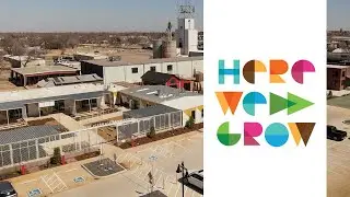 Here We Grow: Downtown Edmond (2022)