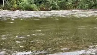 A River Streams By (Relaxing River Sounds) #relaxingsounds #relax #nature