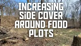 Increasing Side Cover Around Food Plots