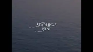 Starlings Nest | NID Student Film | A Cinematic Journey of Self-Discovery in Ahmedabad