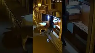 ОГРАБЛЕНИЕ ВЕКА: Уехал на осле! 🫏💰