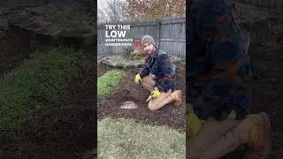 Garden Path- Low Maintenance