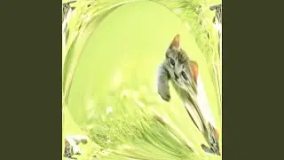 grass