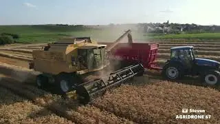 🎬📽Moisson de bl&eacute; 2023  Alsace 🥨🌾🌾 NEW HOLLAND TX 66 🔥🔥