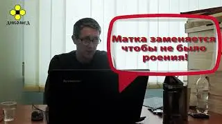 Основы пчеловодства  Урок 3 промышленное пчеловодство, часть I