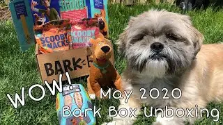 May 2020 Bark Box Unboxing