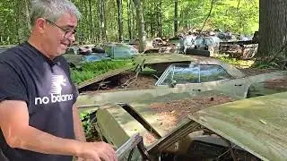 SKYLIGHT STATION WAGON
