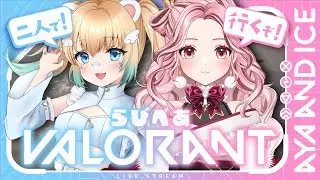 【#VALORANT】現シル１！今日も清楚にらびべあDAY🎀初見様大歓迎🎀【柴咲あや/#新人Vtuber】
