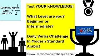 Test Your Knowledge - Daily Common Verbs Challenge in Arabic - What level are you? Take the test!