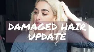 FIXING EXTREMELY DAMAGED HAIR UPDATE!