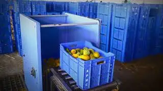 Mango Pulp Processing Plant Surat, Gujarat, India.