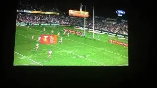 Best Try PETA haiku vs eels