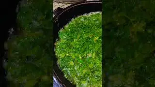 Готовлю Кюкю - Азербайджанское национальное блюдо из зелени и яиц | #короткоевидео