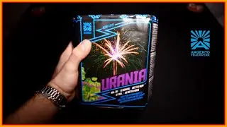Argento Urania (wundersch&ouml;ne Cake!) 🤩 | GreatFireworks