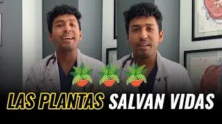 Las PLANTAS salvan vidas 🌱  | DR. RAWDY
